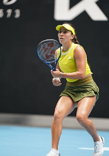 通常指的是 通常指的是